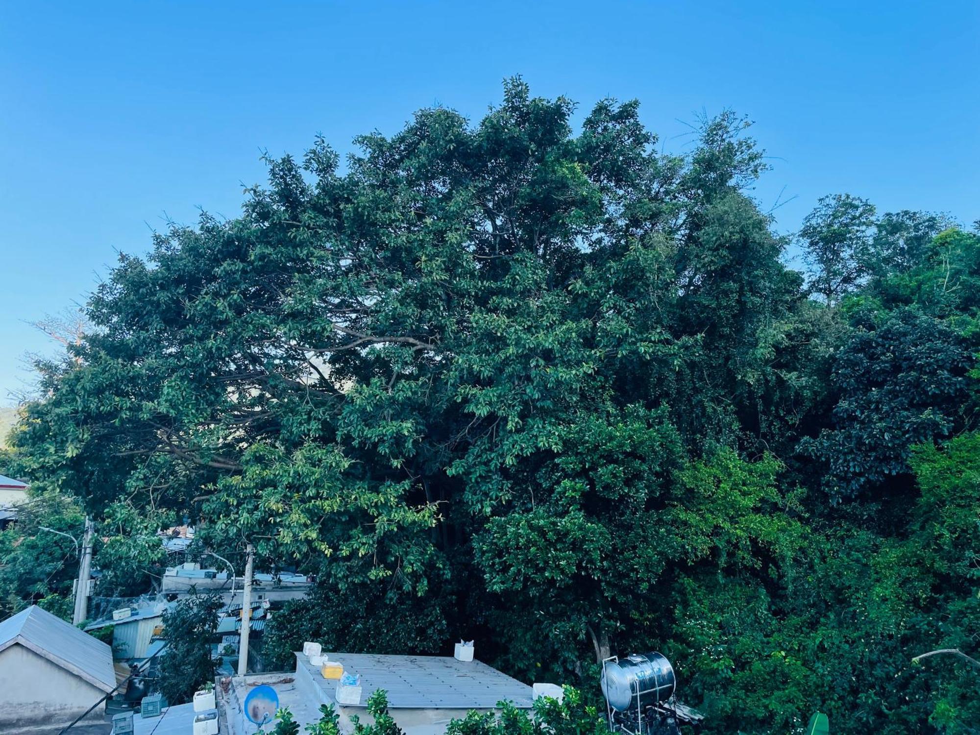 Monkeyland Cham Island Homestay Tan Hiep  Exterior photo